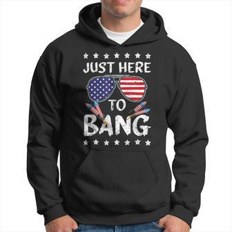 Funny 4Th Of July Im Just Here To Bang Usa Flag Sunglasses 2 Hoodie - Monsterry UK