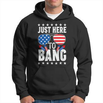 Funny 4Th Of July Im Just Here To Bang Usa Flag Sunglasses 4 Hoodie - Monsterry AU