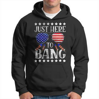 Funny 4Th Of July Im Just Here To Bang Usa Flag Sunglasses Hoodie - Monsterry UK