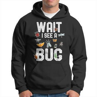 Entomologist Sayings Wait I See A Bug Entomology Hoodie | Mazezy AU