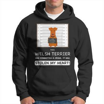 Funny Welsh Terrier Hoodie | Mazezy