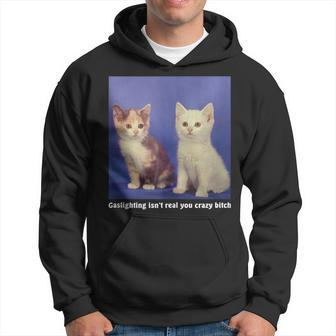 Gaslighting Isnt Real You Crazy BITCH Funny Cat Lover Gifts For Cat Lover Funny Gifts Hoodie | Mazezy