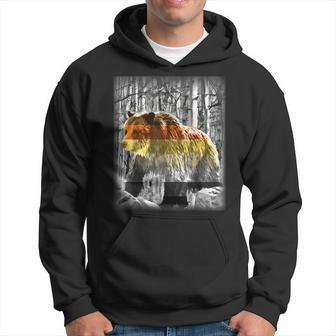 Gay Bear Pride Grizzly Among The Aspen Hoodie | Mazezy