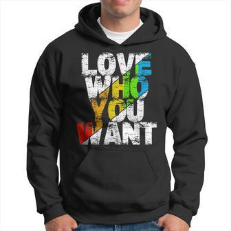 Gay Pride Day Equality Gay Rights Lgbtq Pride Day Parade Hoodie | Mazezy