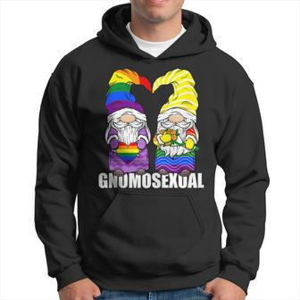 Gnomosexual Lgbtq Gnome For Gay Men Love Pride Gnomes Hoodie | Mazezy