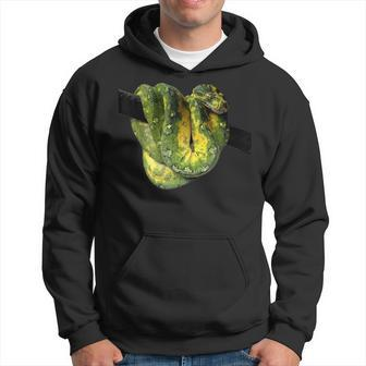 Green Tree Python Reptile Photography Hoodie | Mazezy