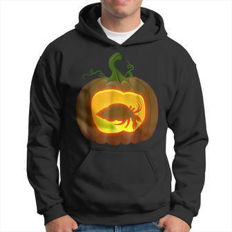 Hermit Crab Halloween Gifts For Hermit Crab Lovers Funny Gifts Hoodie | Mazezy UK