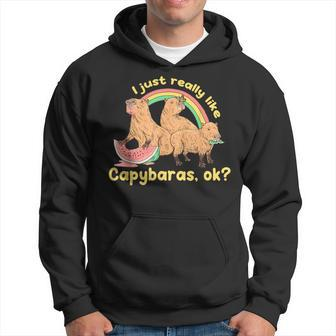 I Just Really Like Capybaras Ok Capybara Lover Funny Hoodie | Mazezy
