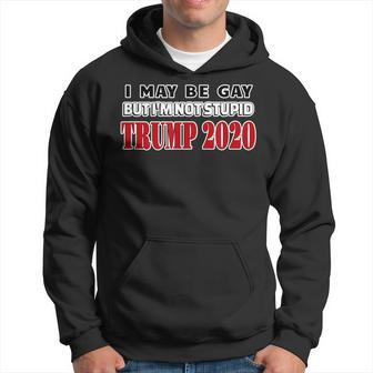 I May Be Gay But Im Not Stupid Trump 2020 Hoodie | Mazezy
