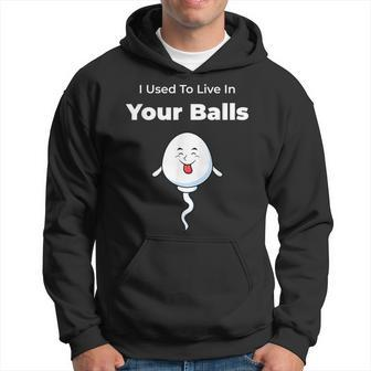 I Used To Live In Your Balls Funny Silly Fathers Day Hoodie | Mazezy DE