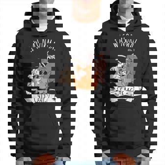 I Was Normal 3 Cats Ago Cat Mom Dad Crazy Cat Lady Gifts For Mom Funny Gifts Hoodie | Mazezy