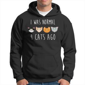 I Was Normal 4 Cats Ago Funny Cat Hoodie | Mazezy UK