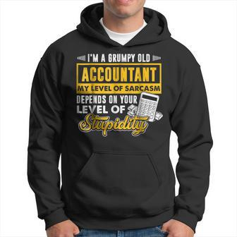 Im A Grumpy Old Accountant Accounting Funny Gifts Hoodie | Mazezy