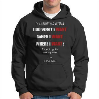 Im A Grumpy Old Veteran I Do What I Want Memorial Day Hoodie | Mazezy