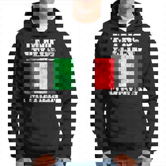 Italian Quote Italy Joke Italian Flag Hoodie | Mazezy