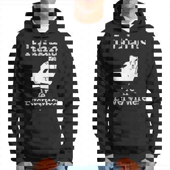Italians Are Everywhere Italian Funny Hoodie | Mazezy
