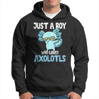 Just A Boy Who Loves Axolotls Cute Funny Kawaii Hoodie | Mazezy