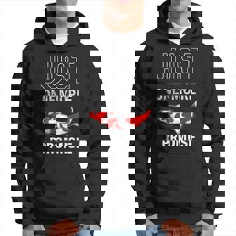 Just One More Koi Fish Koi Lovers Gift Owners Funny Hoodie - Thegiftio