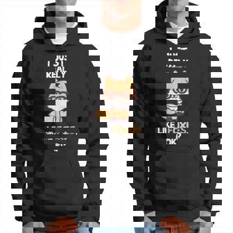 I Just Really Like Foxes Ok Cute & For Fox Lovers Hoodie | Mazezy