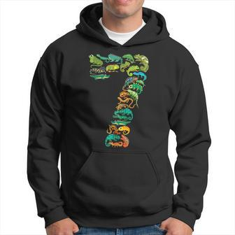 Kids 7Th Birthday Reptiles Lizards Themed 7 Year Old Boys Hoodie | Mazezy
