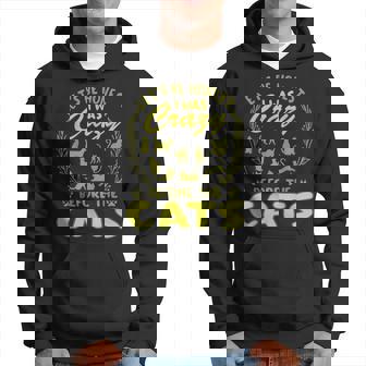 Lets Be Honest I Was Crazy Before Cats Hoodie | Mazezy