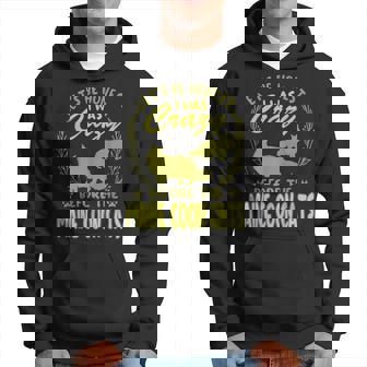 Lets Be Honest I Was Crazy Before Maine Coon Cats Hoodie | Mazezy