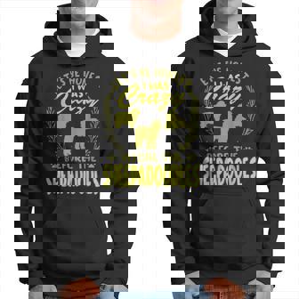 Lets Be Honest I Was Crazy Before Sheepadoodles Hoodie | Mazezy