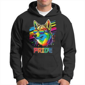 Lgbt Lesbian Gay Pride Swedish Vallhund Dog Hoodie | Mazezy CA