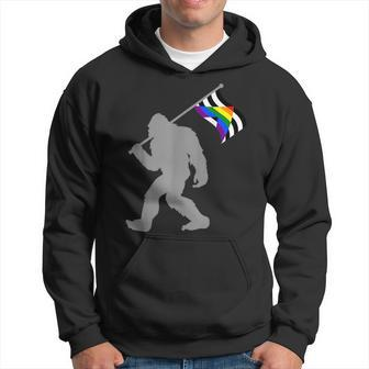 Lgbtq Straight Alliance Pride Flag On Straight Gay Ally Hoodie - Seseable
