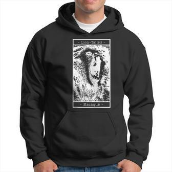 Lion-Tailed Macaque Monkey Hoodie | Mazezy