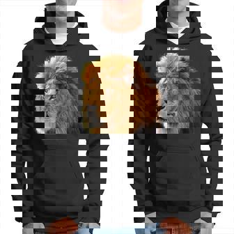 Lions Lions Of Africa Hoodie | Mazezy