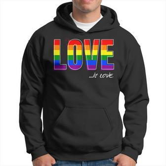 Love Is Love Lgbt Gay Lesbian Pride Colors Lgbtq Ally  Hoodie