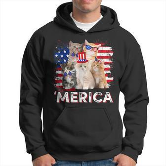 Merica Cats Patriotic Cat Lovers Usa Flag 4Th Of July Hoodie | Mazezy