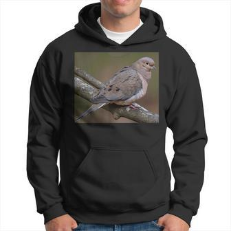 Mourning Dove Perched On A Branch Hoodie | Mazezy DE