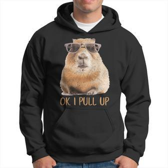 Ok I Pull Up Capybara Gifts For Capybara Lovers Funny Gifts Hoodie | Mazezy