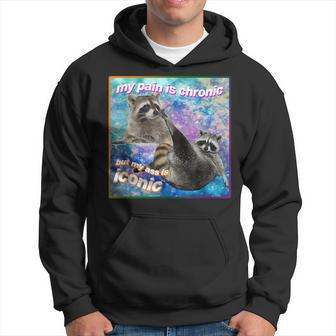 My Pain Is Chronic But My Ass Is Iconic Opossums Lover Hoodie - Seseable