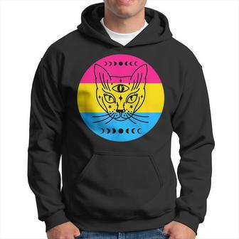Pan Pride Subtle Pansexual Lgbtq Lgbt Cat And Moon Phase Hoodie | Mazezy