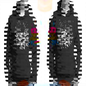 Pansexual Flag Turtles Pride Month Lgbtq Ally Lgbt Animal Hoodie | Mazezy