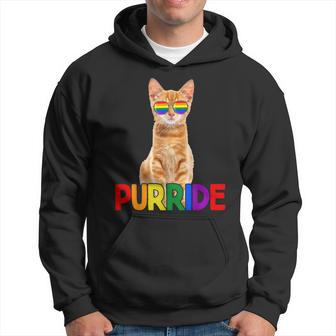 Pride Gay Cute Cat Purride Lgbtq Hoodie | Mazezy