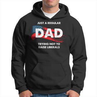 Republican Just A Regular Dad Trying Not To Raise Liberals Gift For Mens Hoodie | Mazezy