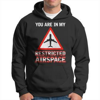 You Are In My Restricted Airspace Airplane Pilot Quote Hoodie | Mazezy UK