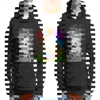 Samoyed Patriotic American Flag Fireworks 4Th Of July Hoodie | Mazezy