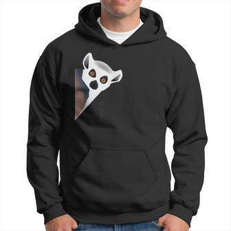 Save The Ring Tailed Lemurs Hoodie | Mazezy