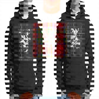 Scottish Tartan Red Plaid Lion Royal Stewart Clan Hoodie | Mazezy