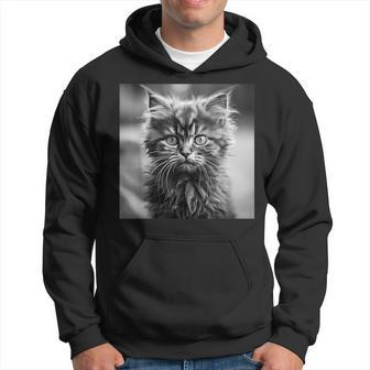 Selkirk Rex Cat Cinematic Black And White Photography Hoodie | Mazezy