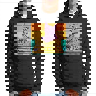 Synthesizer & Cat Vintage Analog Synth Retro Studio Gear Hoodie | Mazezy