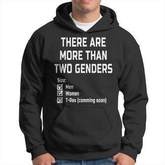 There Are More Than Two Genders Lgbt Gift Gift For Women Hoodie - Thegiftio UK