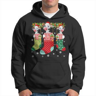 Three Cow In Socks Ugly Christmas Sweater Party Hoodie - Monsterry UK