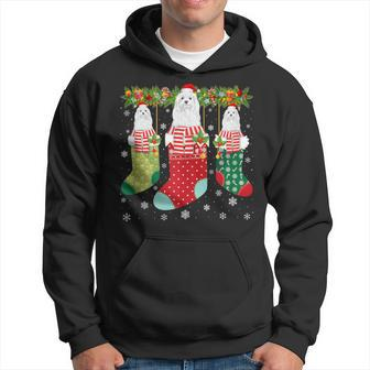 Three Maltese Dog In Socks Ugly Christmas Sweater Party Hoodie - Monsterry UK