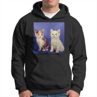 Two Cat Funny Gaslighting Isnt Real You Crazy Hoodie | Mazezy